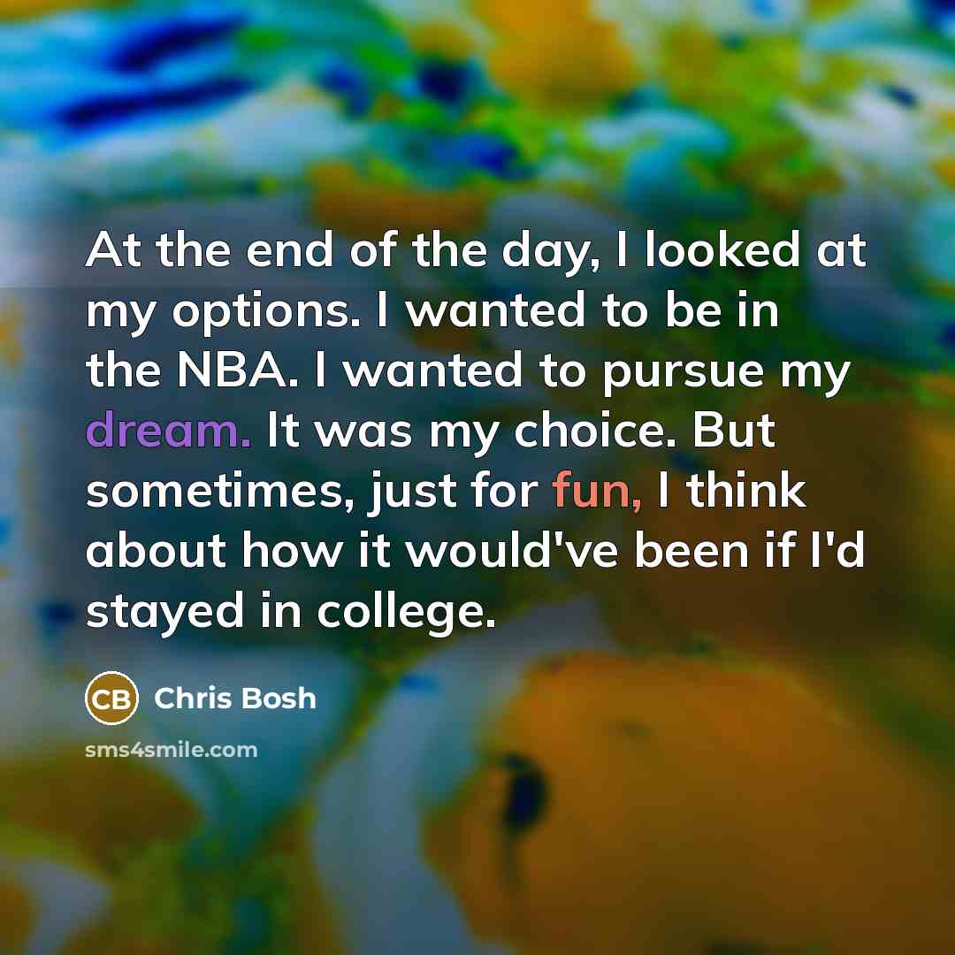 “At the end of the day, I looked at my…” quote by Chris Bosh