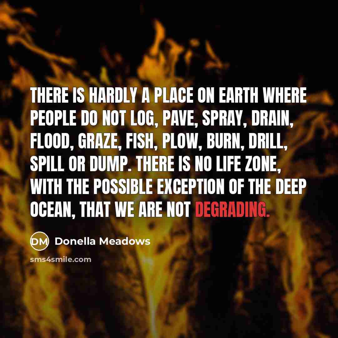 “There is hardly a place on Earth where people do…” quote by Donella Meadows