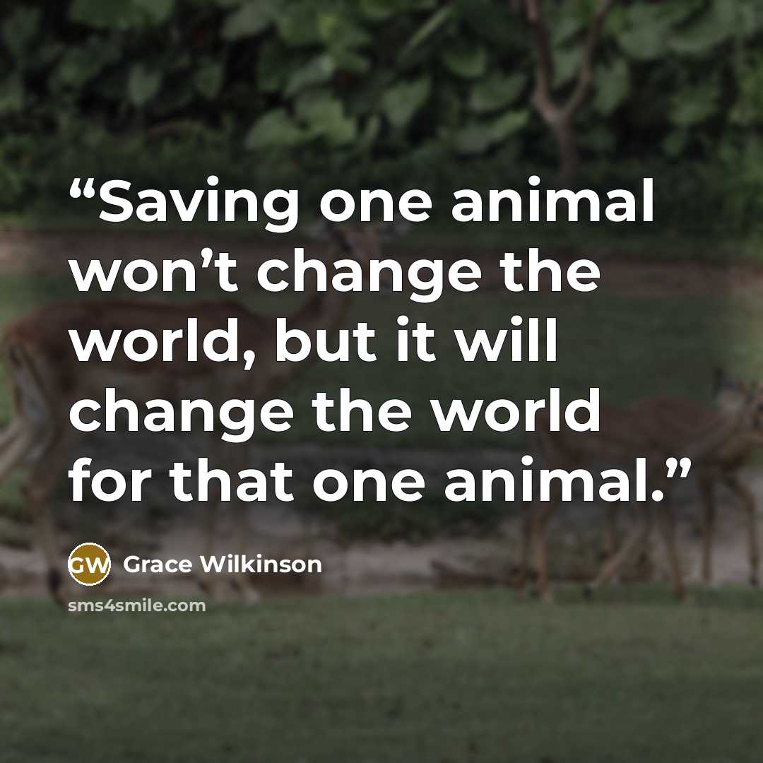 “Saving one animal won’t change the world, but it will change the world for that one animal.” quote by Grace Wilkinson