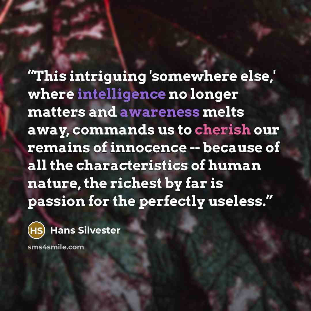 “This intriguing 'somewhere else,' where intelligence no longer matters and awareness melts away, commands us to cherish our remains of innocence -- because of all the characteristics of human nature, the richest by far is passion for the perfectly useless.” quote by Hans Silvester