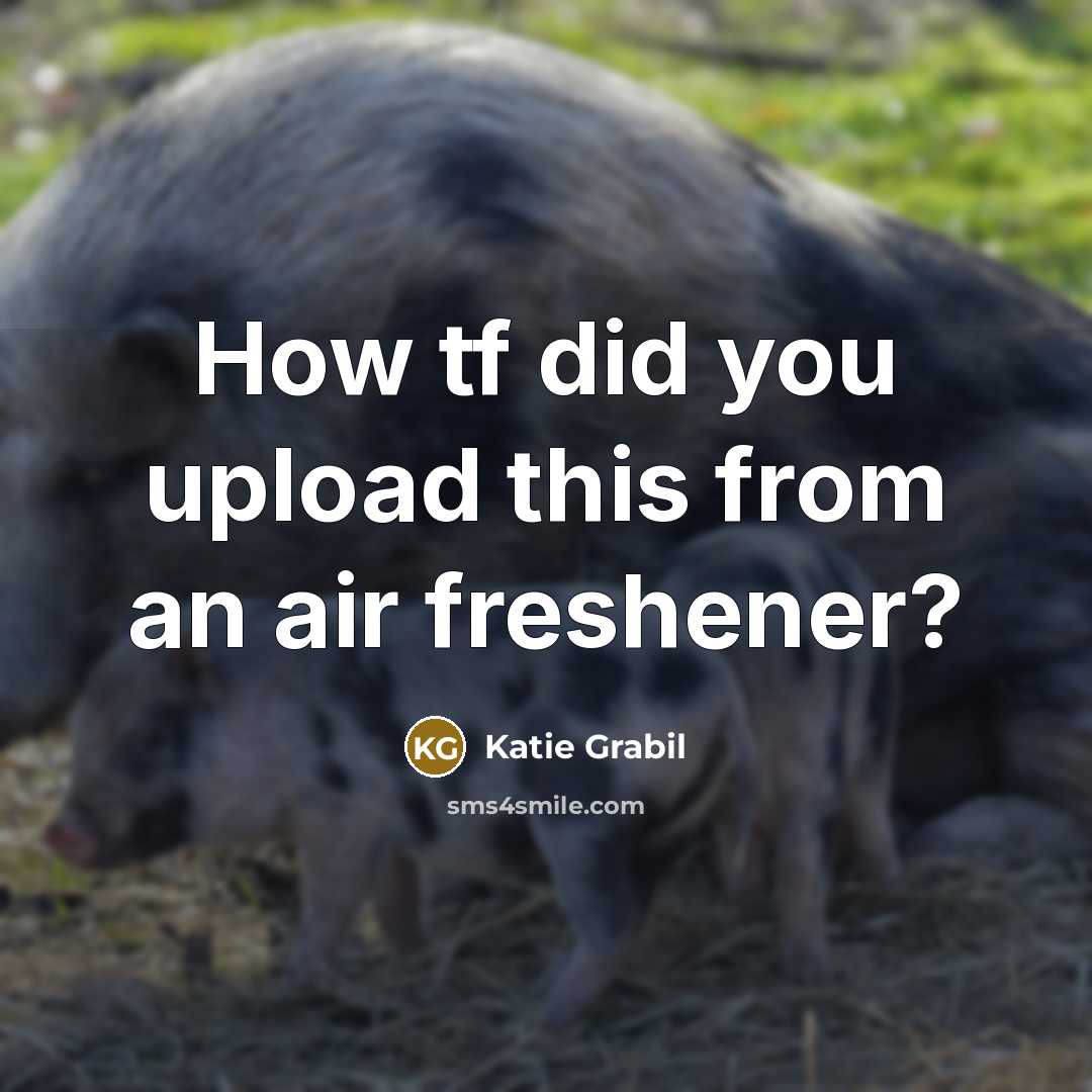 “How tf did you upload this from an air freshener?…” quote by Katie Grabil