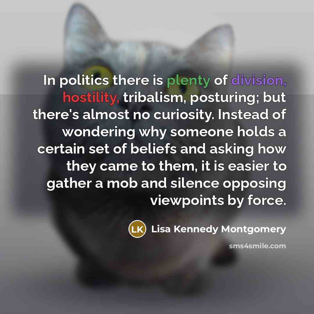 “In politics there is plenty of division, hostility, tribalism, posturing;…” quote by Lisa Kennedy Montgomery