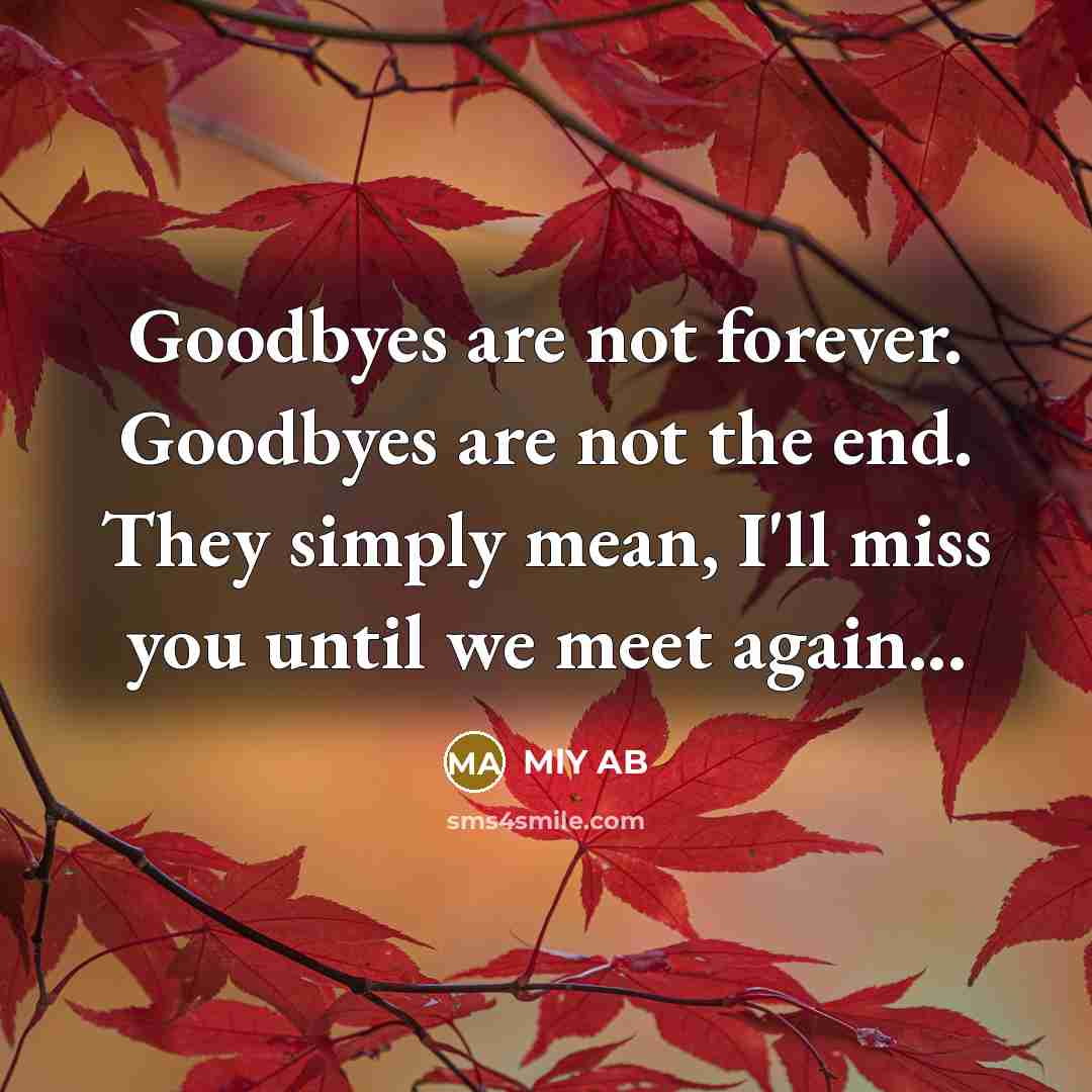 “Goodbyes are not forever. Goodbyes are not the end. They simply mean, I'll miss you until we meet again...” quote by Mly Ab