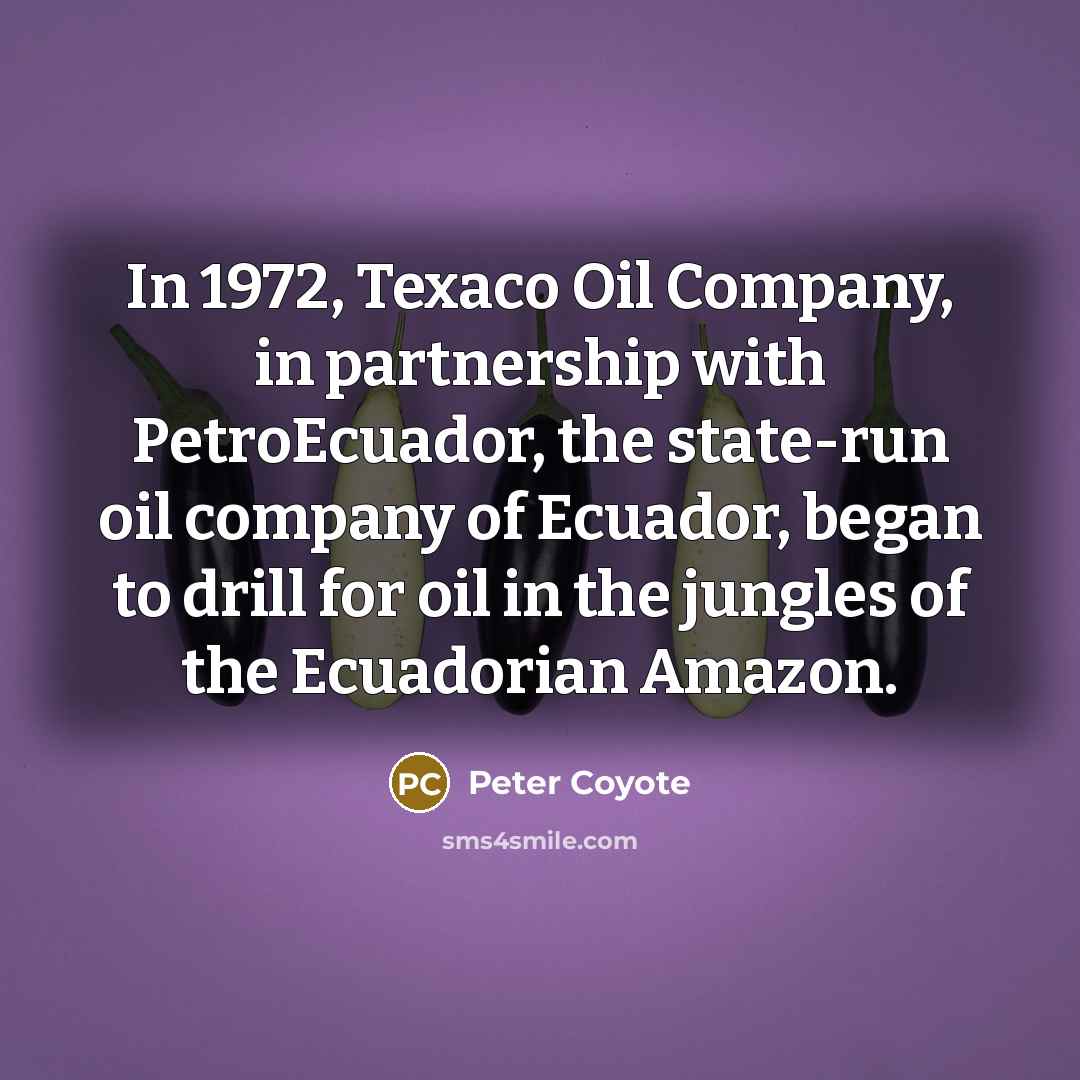 “In 1972, Texaco Oil Company, in partnership with PetroEcuador, the…” quote by Peter Coyote