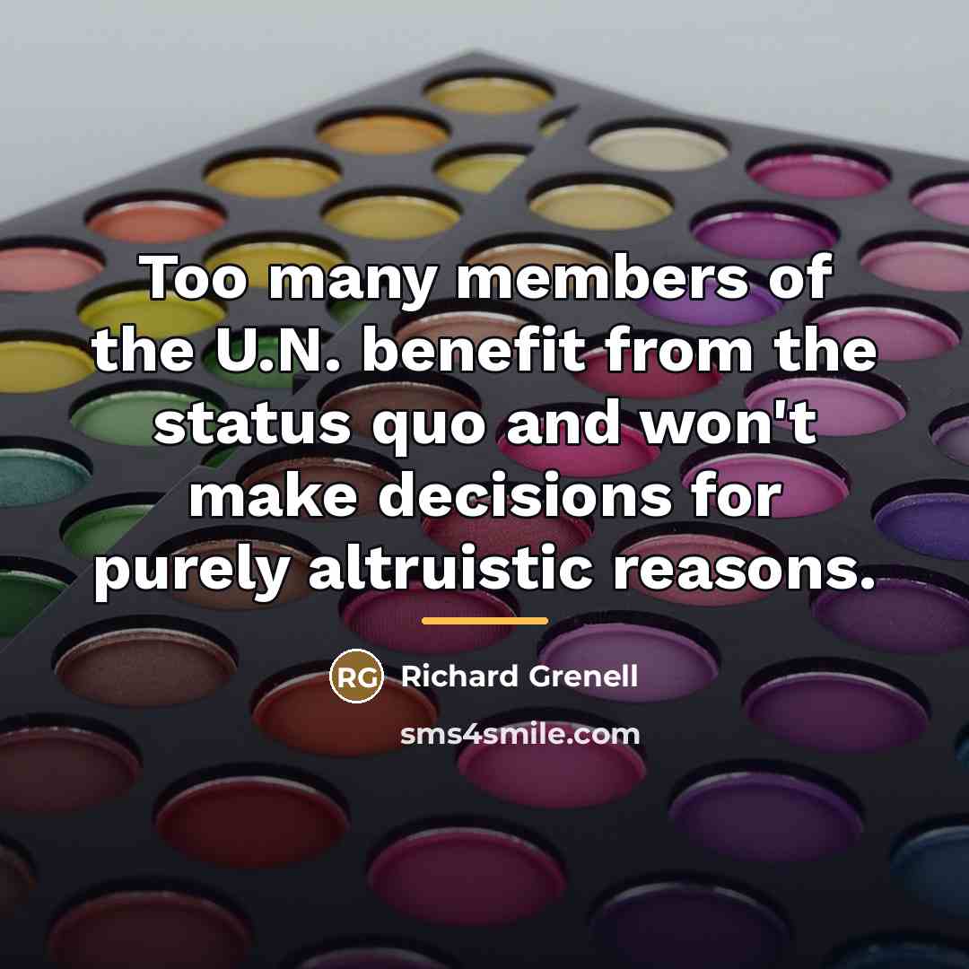 “Too many members of the U.N. benefit from the status…” quote by Richard Grenell