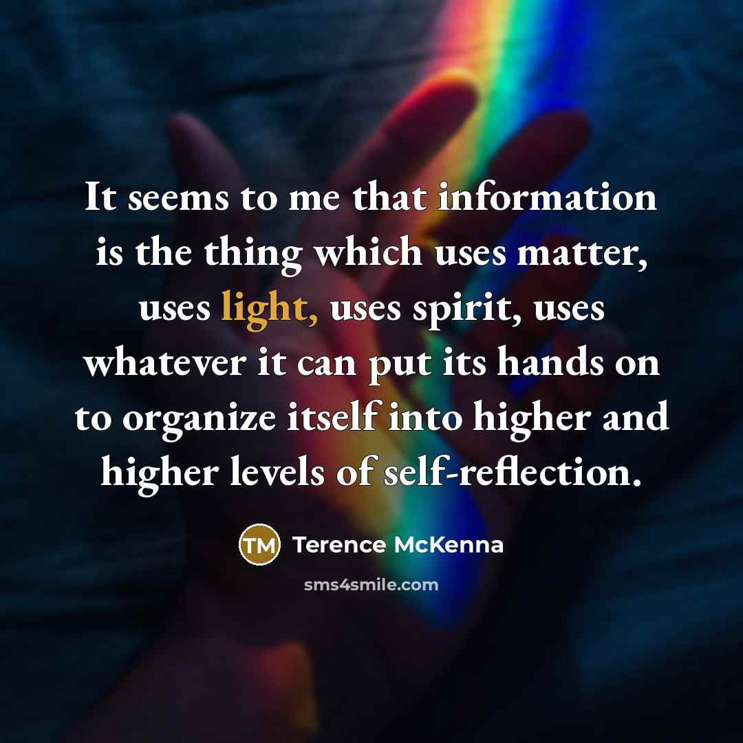 “It seems to me that information is the thing which…” quote by Terence McKenna