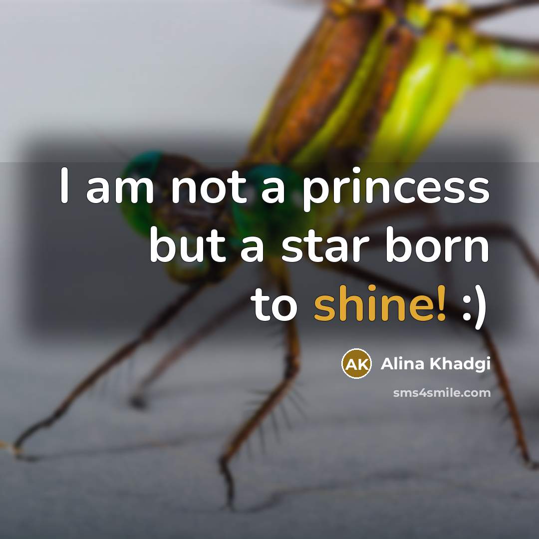 “I am not a princess but a star born to…” quote by Alina Khadgi