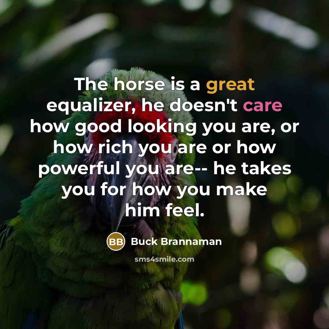 “The horse is a great equalizer, he doesn't care how…” quote by Buck Brannaman