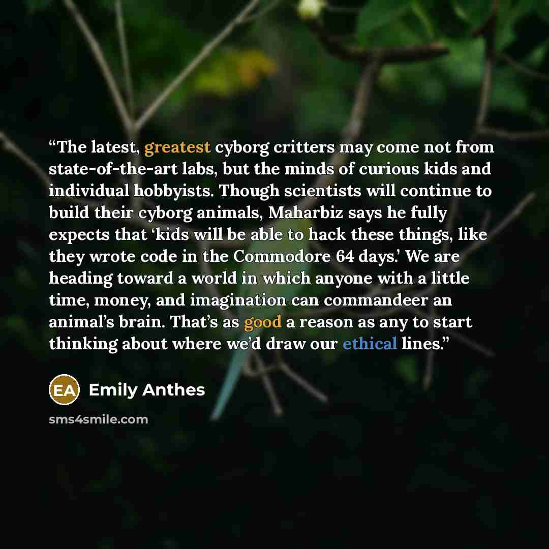 “The latest, greatest cyborg critters may come not from state-of-the-art labs, but the minds of curious kids and individual hobbyists. Though scientists will continue to build their cyborg animals, Maharbiz says he fully expects that ‘kids will be able to hack these things, like they wrote code in…” quote by Emily Anthes