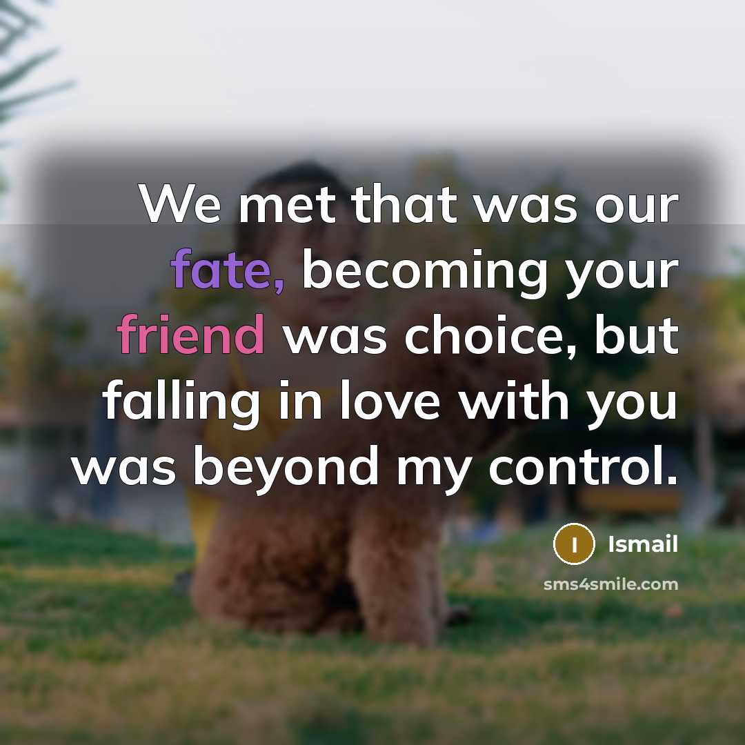 “We met that was our fate, becoming your friend was…” quote by Ismail