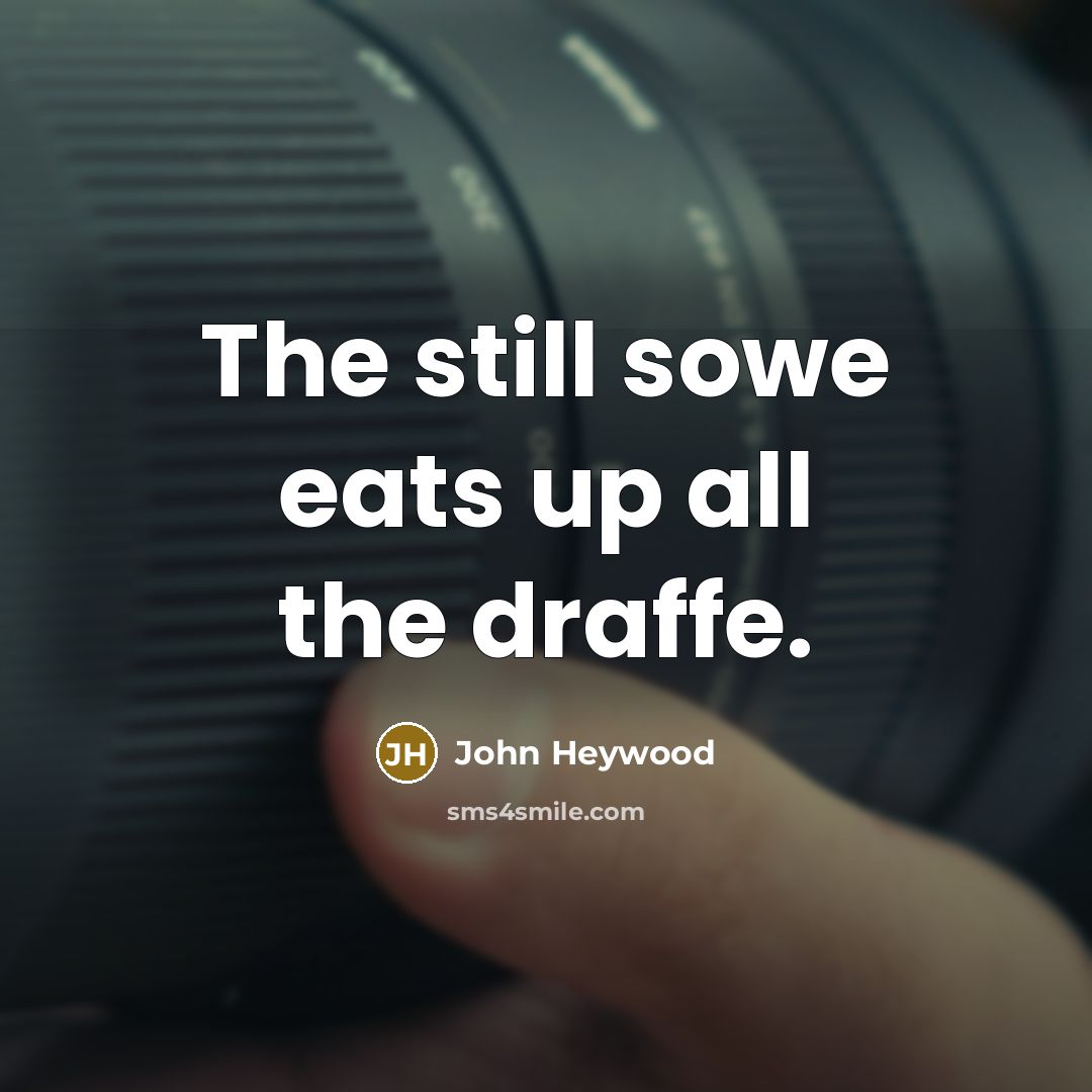 “The still sowe eats up all the draffe.” quote by John Heywood