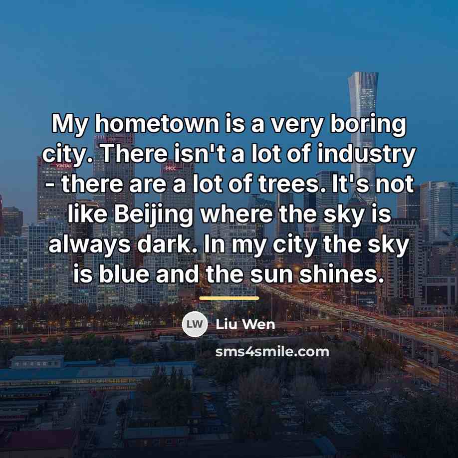 “My hometown is a very boring city. There isn't a…” quote by Liu Wen