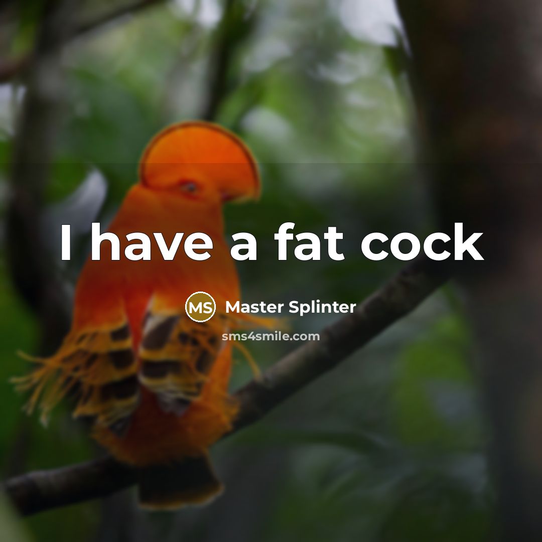 “I have a fat cock…” quote by Master Splinter