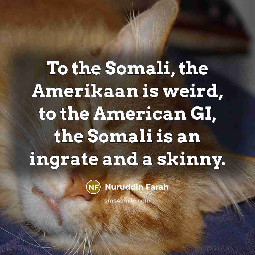 “To the Somali, the Amerikaan is weird, to the American…” quote by Nuruddin Farah