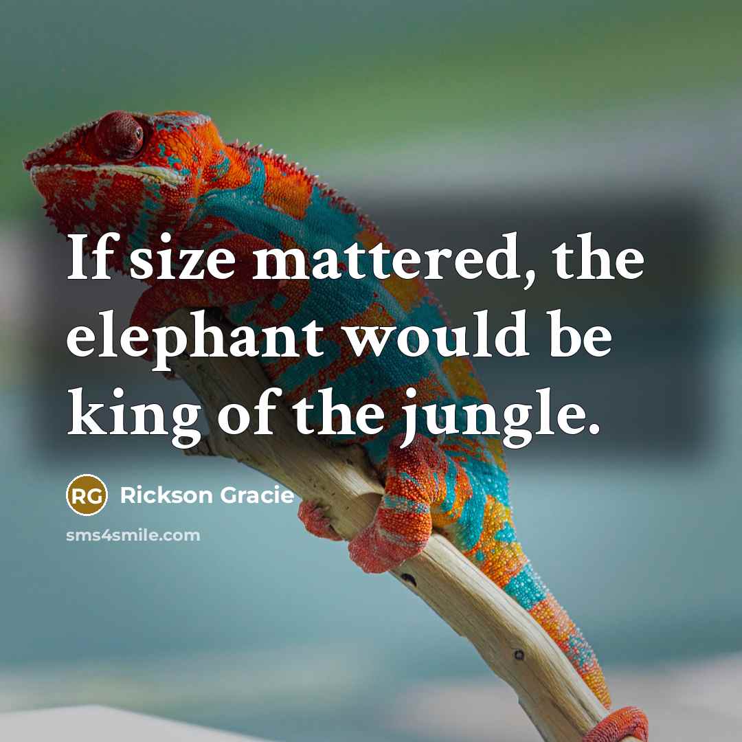 “If size mattered, the elephant would be king of the jungle.” quote by Rickson Gracie