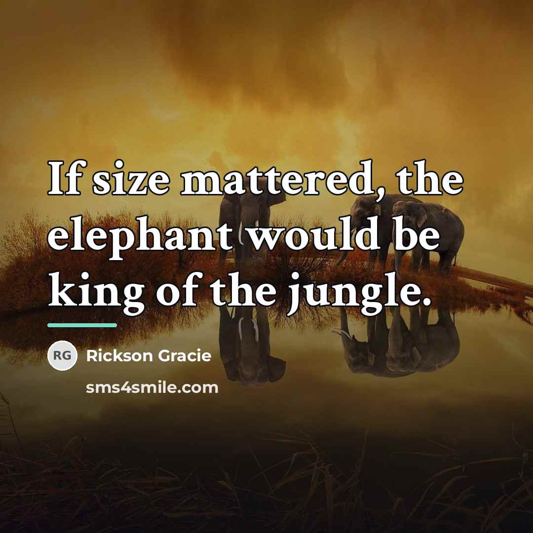 “If size mattered, the elephant would be king of the…” quote by Rickson Gracie