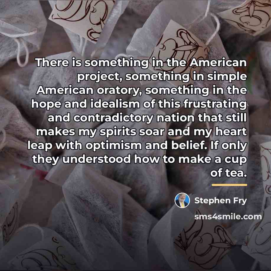 “There is something in the American project, something in simple…” quote by Stephen Fry