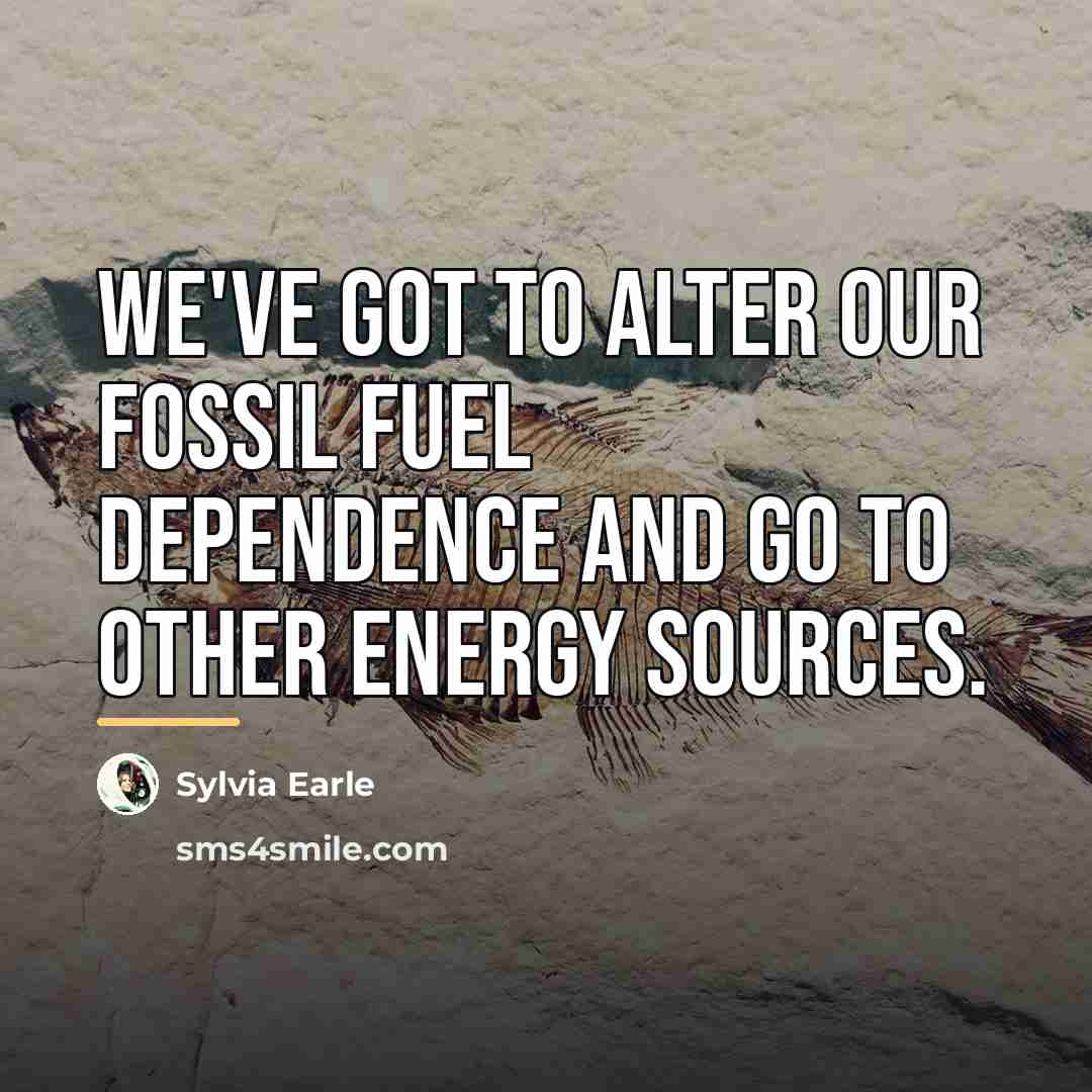 “We've got to alter our fossil fuel dependence and go…” quote by Sylvia Earle