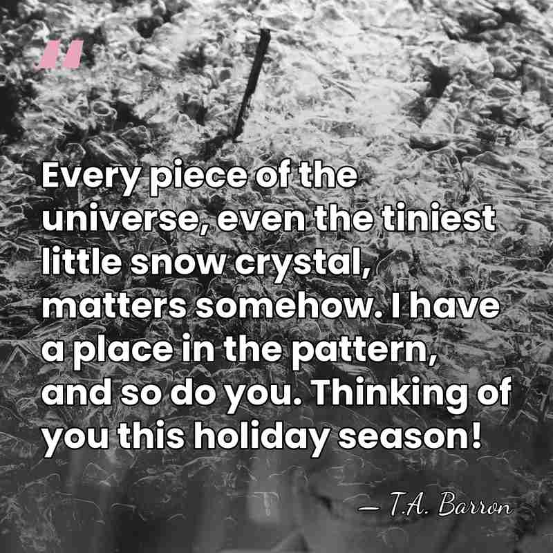 Every piece of the universe, even the tiniest little snow crystal, matters&hellip; - T.A. Barron
