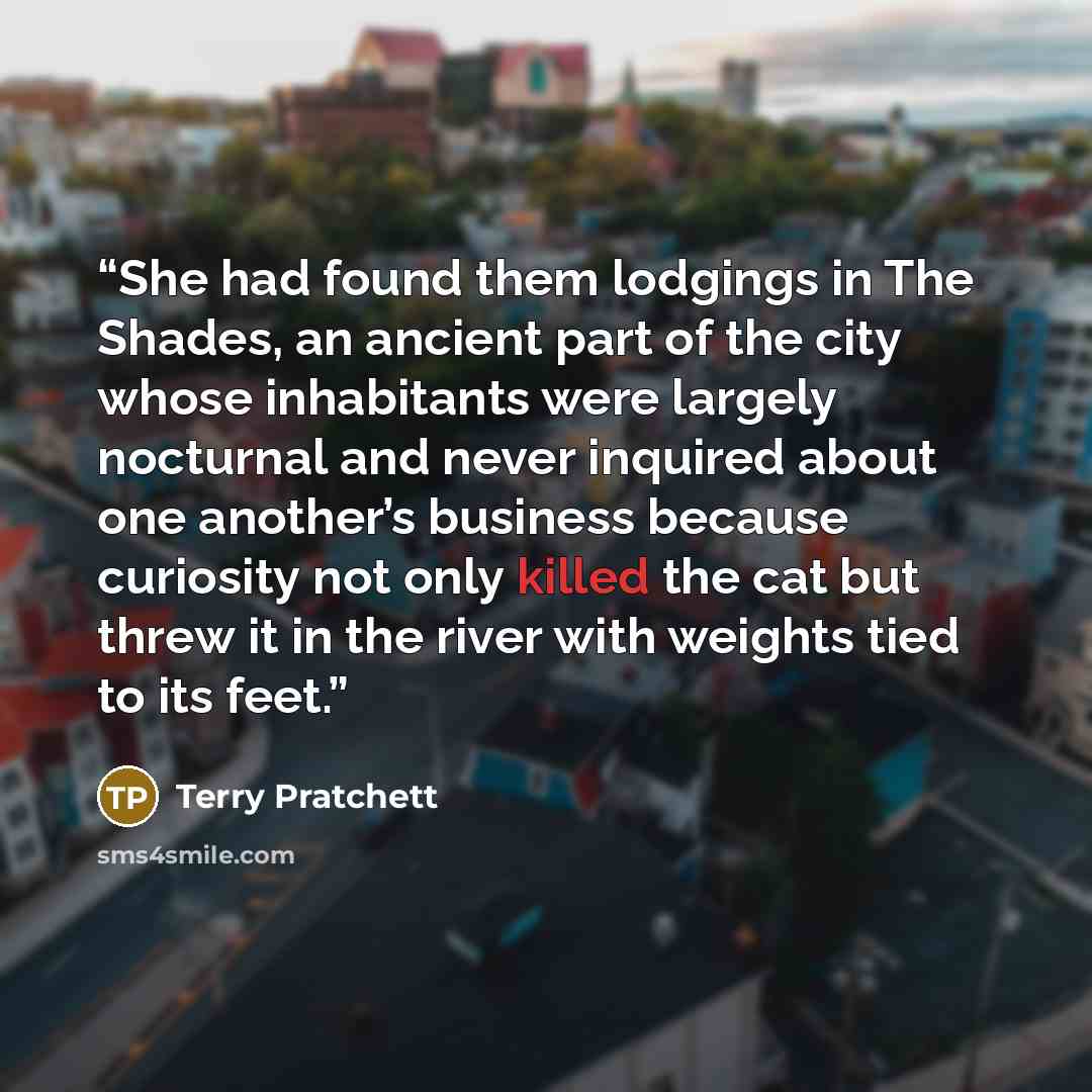 “She had found them lodgings in The Shades, an ancient part of the city whose inhabitants were largely nocturnal and never inquired about one another’s business because curiosity not only killed the cat but threw it in the river with weights tied to its feet.” quote by Terry Pratchett