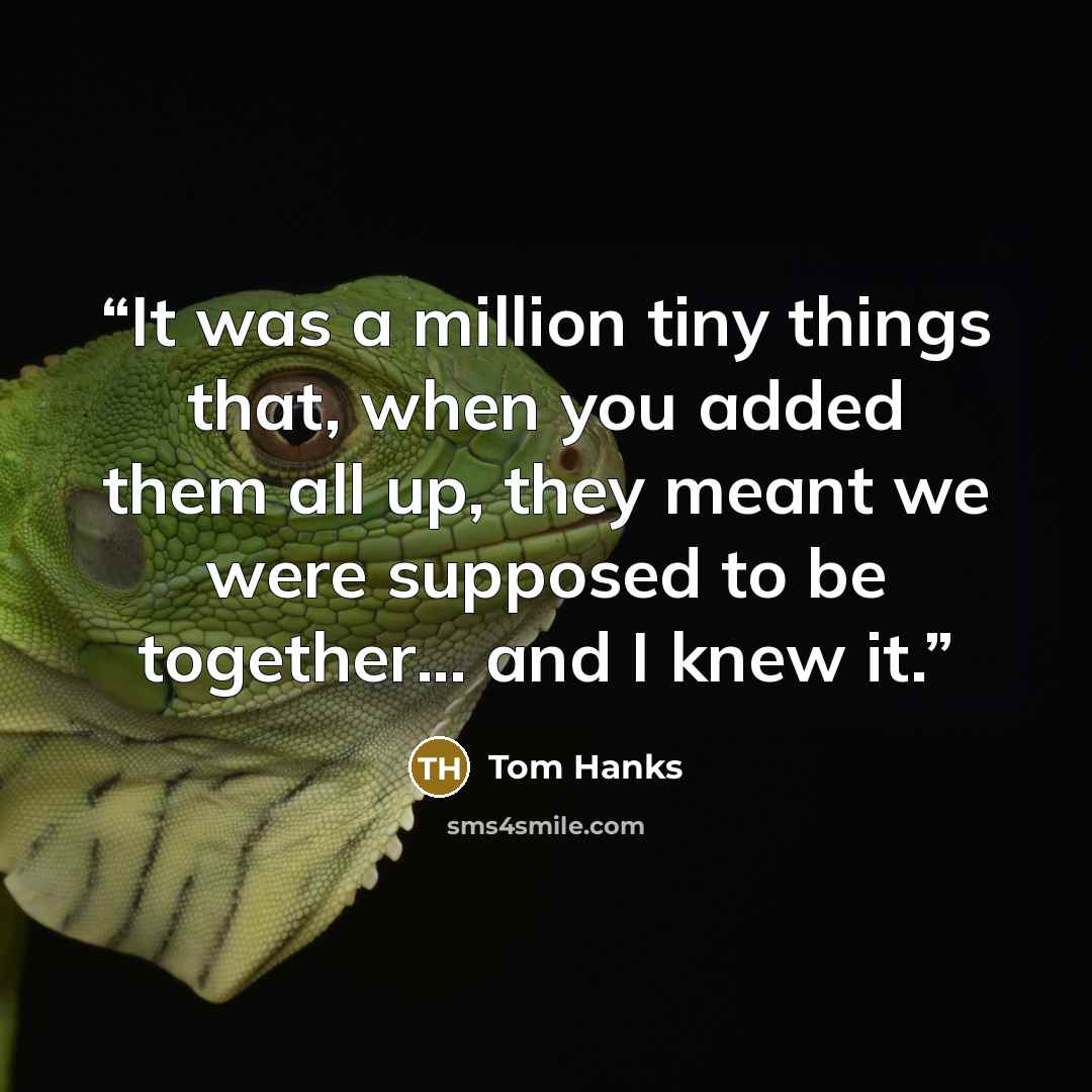 “It was a million tiny things that, when you added them all up, they meant we were supposed to be together... and I knew it.” quote by Tom Hanks
