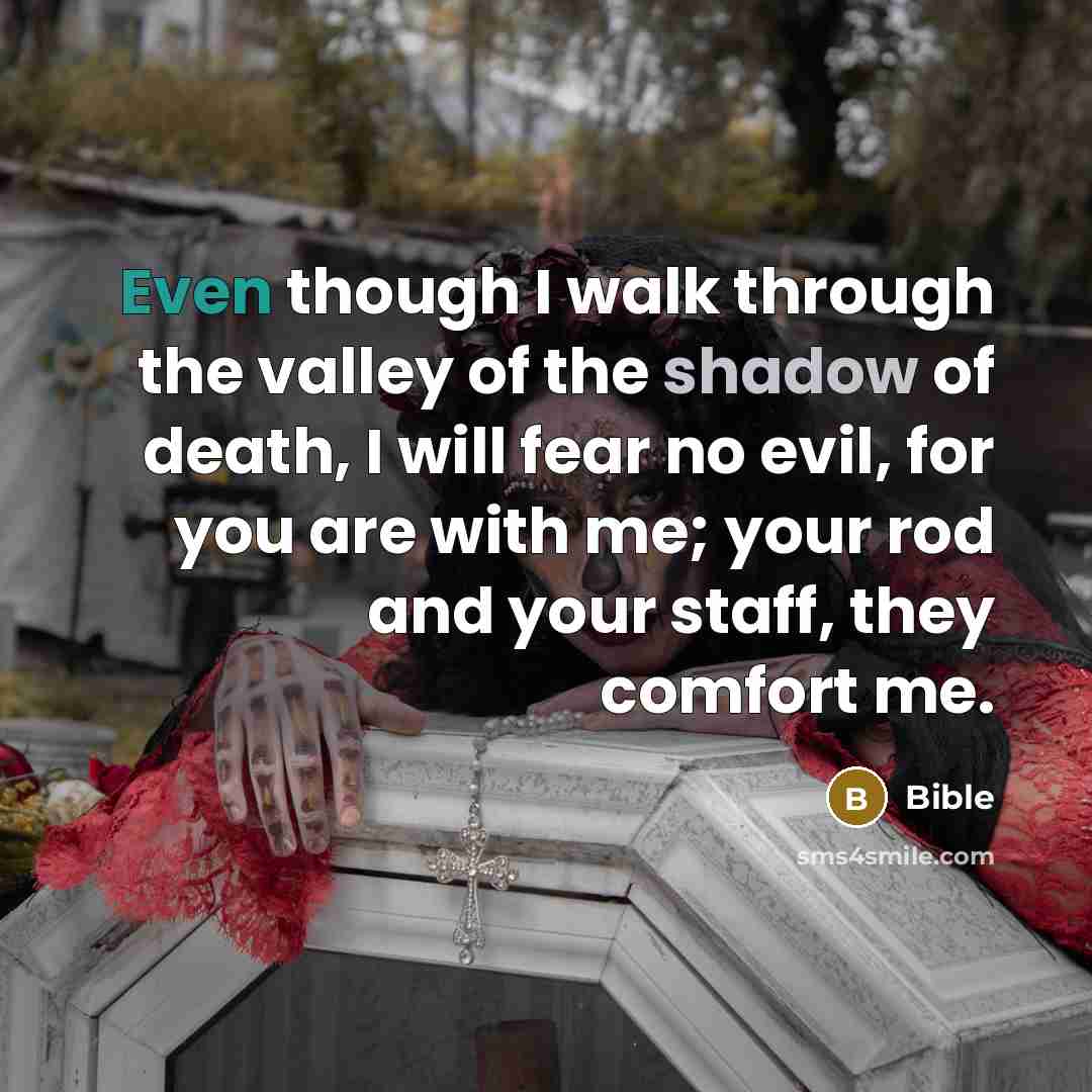 “Even though I walk through the valley of the shadow…” quote by Bible