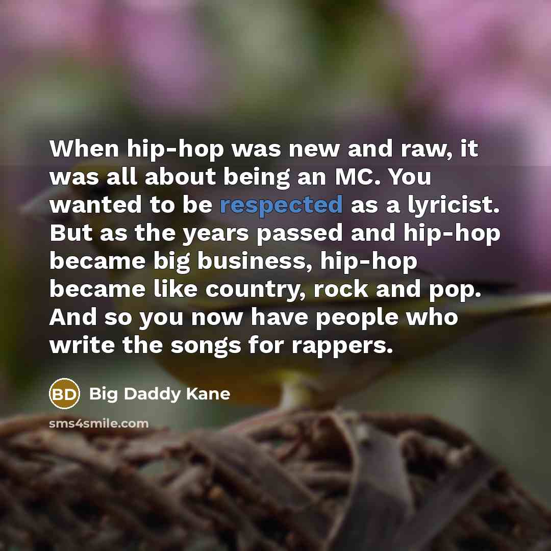 “When hip-hop was new and raw, it was all about…” quote by Big Daddy Kane