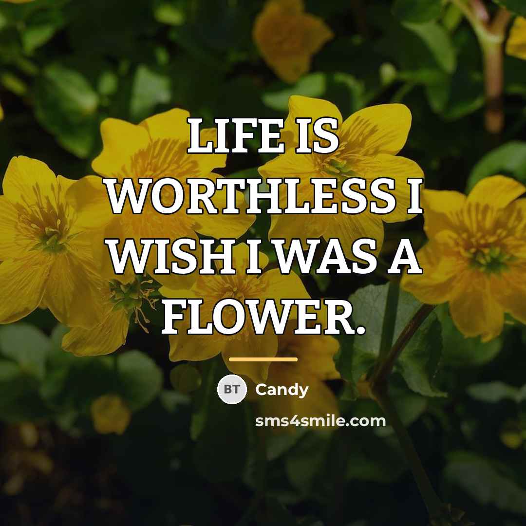 “LIFE IS WORTHLESS I WISH I WAS A FLOWER.…” quote by Candy