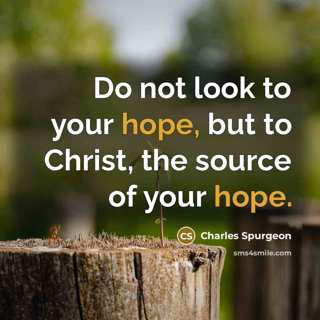 “Do not look to your hope, but to Christ, the…” quote by Charles Spurgeon