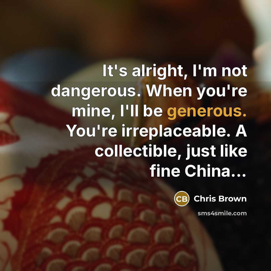 “It's alright, I'm not dangerous. When you're mine, I'll be generous. You're irreplaceable. A collectible, just like fine China...” quote by Chris Brown