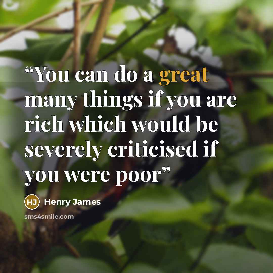 “You can do a great many things if you are rich which would be severely criticised if you were poor” quote by Henry James
