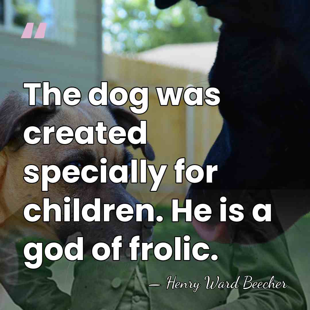 The dog was created specially for children. He is a god of&hellip; - Henry Ward Beecher