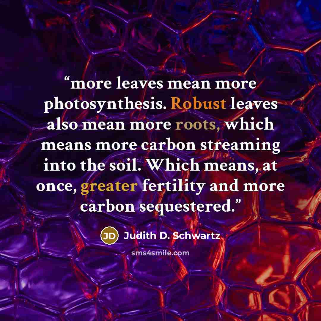 “more leaves mean more photosynthesis. Robust leaves also mean more roots, which means more carbon streaming into the soil. Which means, at once, greater fertility and more carbon sequestered.” quote by Judith D. Schwartz