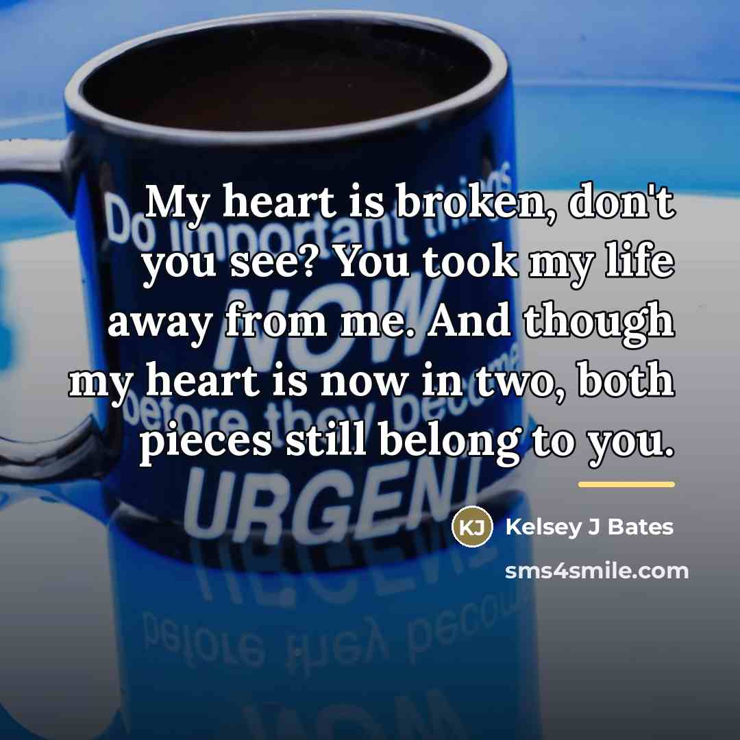 “My heart is broken, don't you see? You took my…” quote by Kelsey J Bates