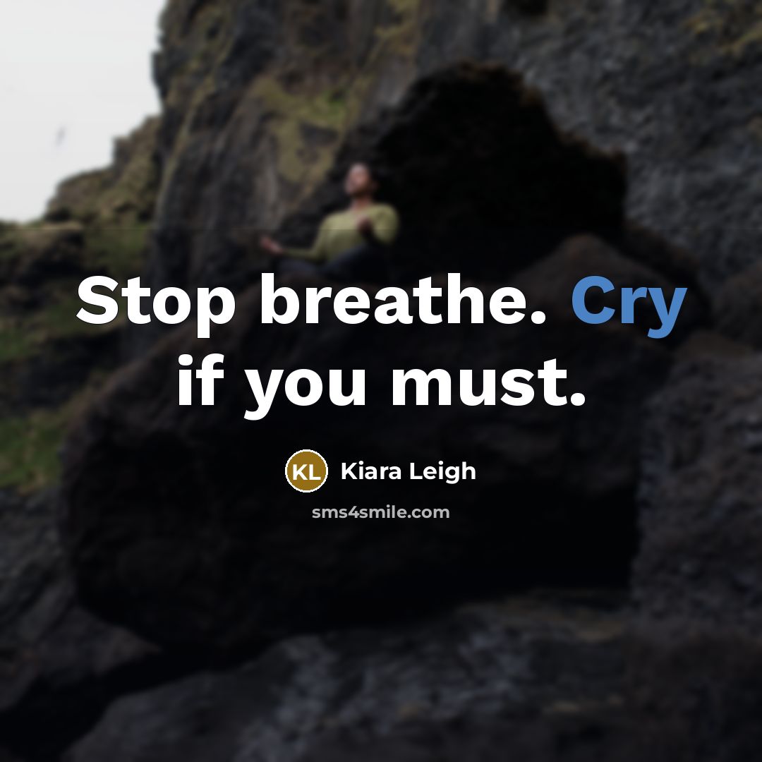 “Stop breathe. Cry if you must.…” quote by Kiara Leigh