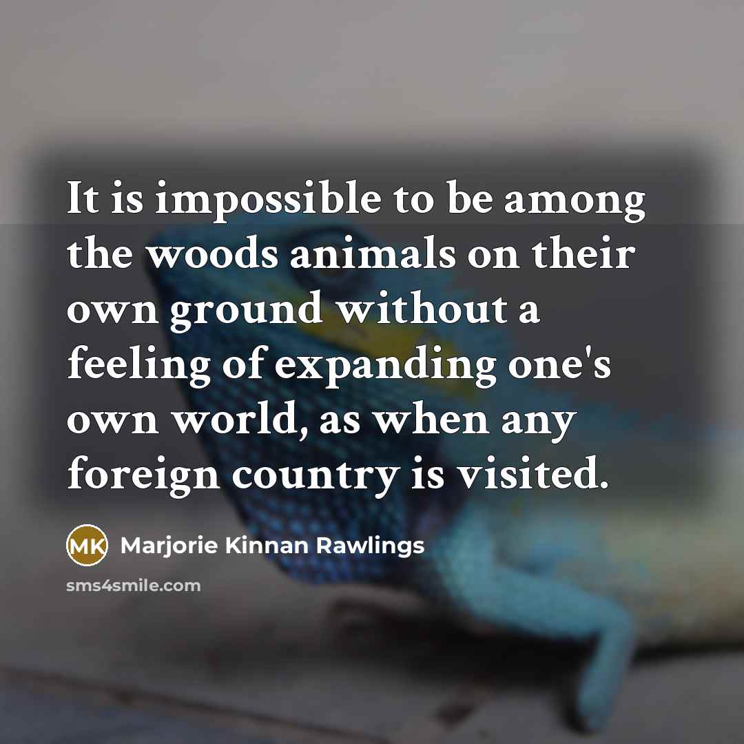 “It is impossible to be among the woods animals on…” quote by Marjorie Kinnan Rawlings