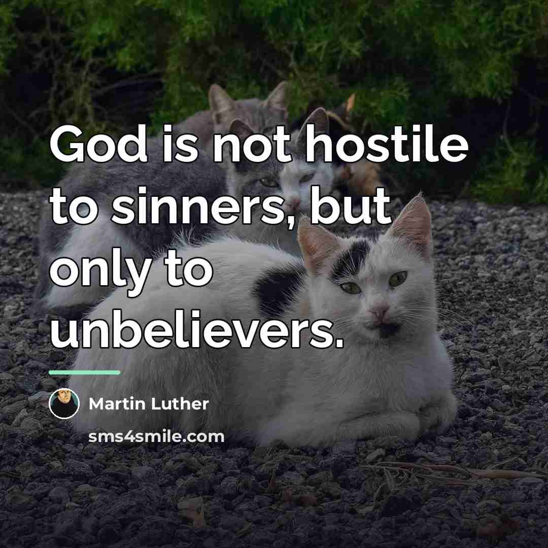 “God is not hostile to sinners, but only to unbelievers.…” quote by Martin Luther