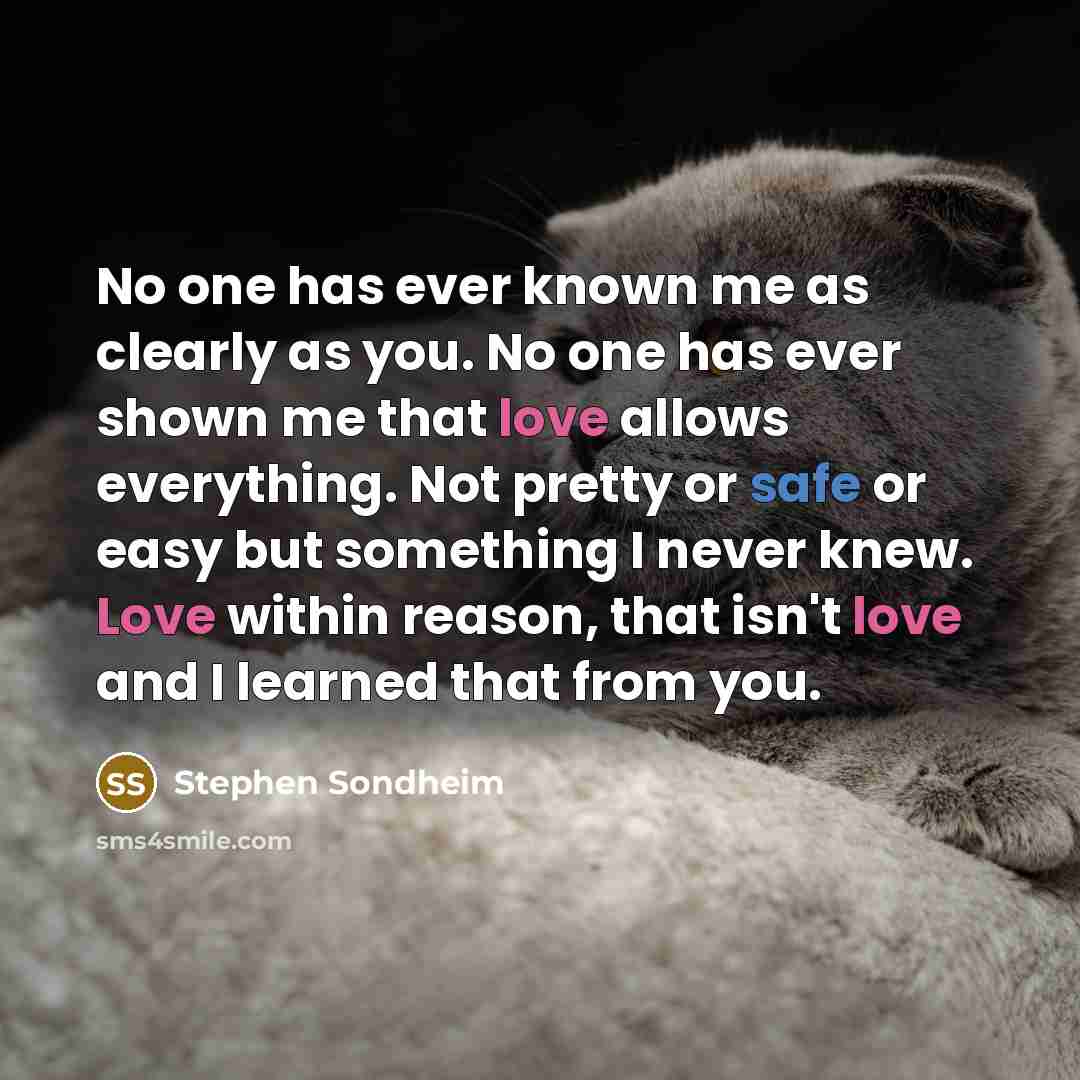 “No one has ever known me as clearly as you.…” quote by Stephen Sondheim