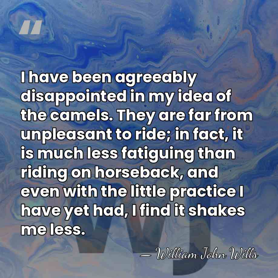 I have been agreeably disappointed in my idea of the camels. They&hellip; - William John Wills