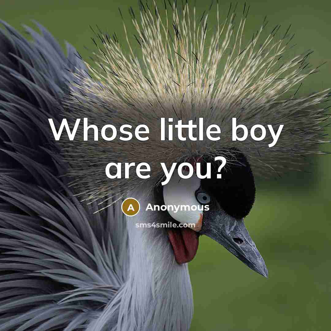 “Whose little boy are you?…” quote by Anonymous
