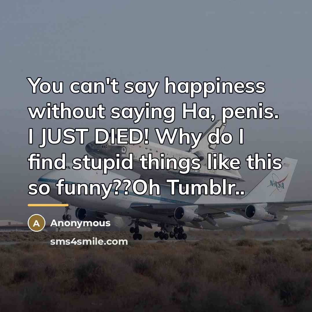 “You can't say happiness without saying Ha, penis. I JUST…” quote by Anonymous