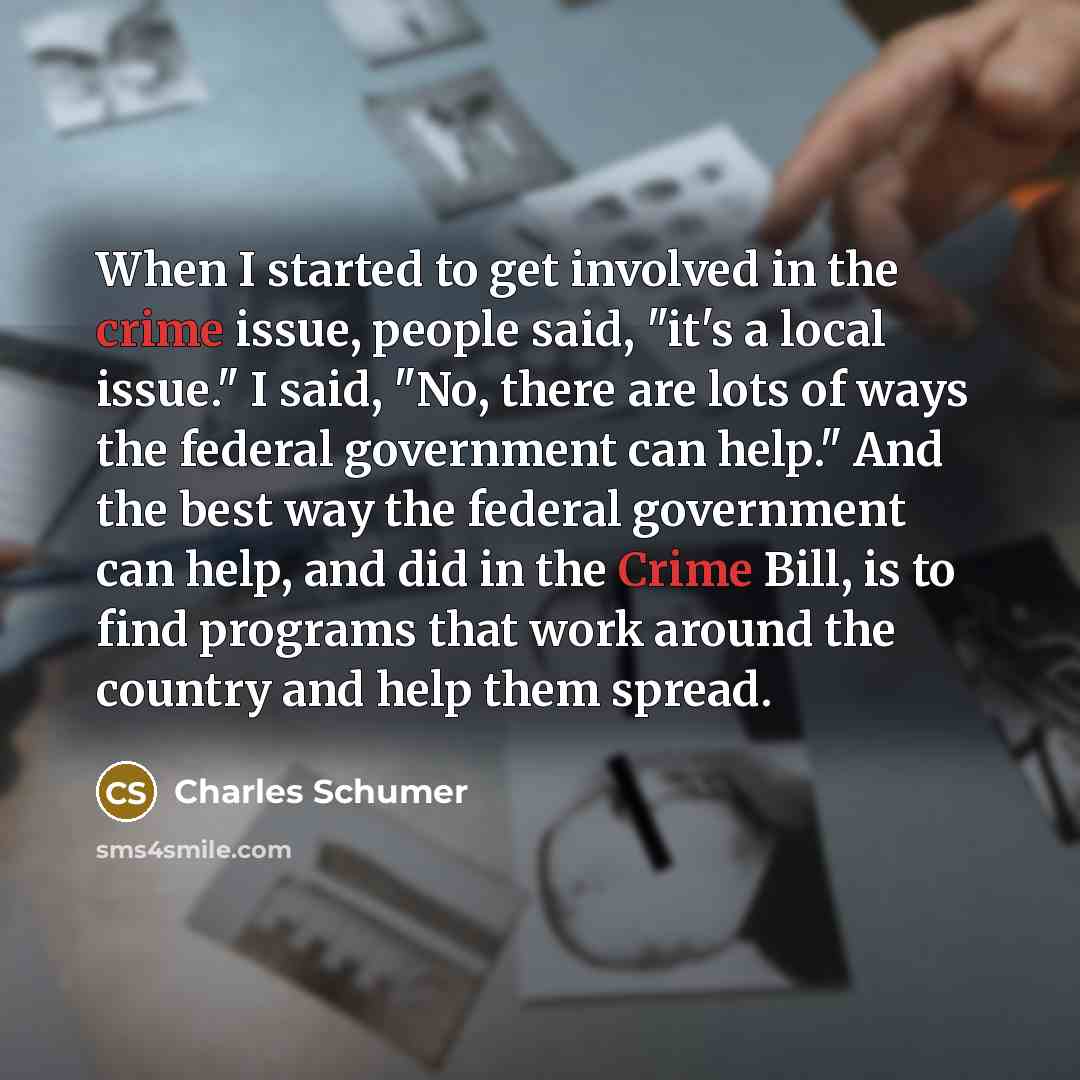 “When I started to get involved in the crime issue,…” quote by Charles Schumer