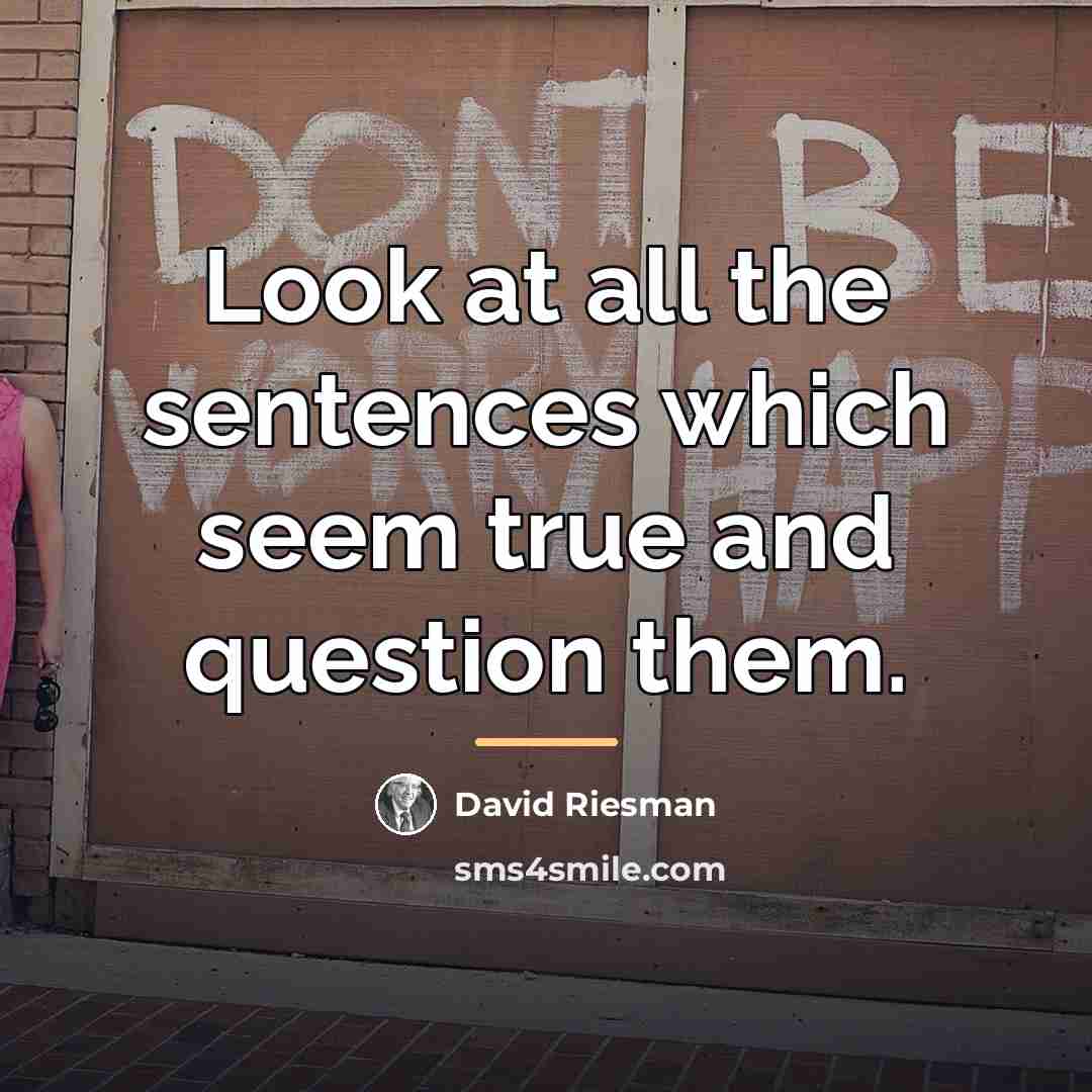 “Look at all the sentences which seem true and question…” quote by David Riesman
