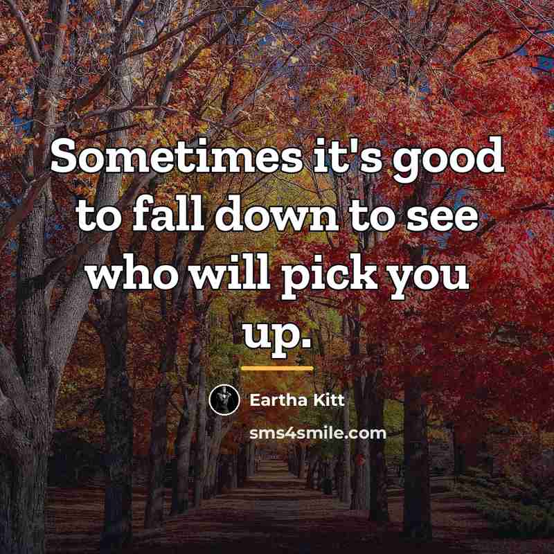 “Sometimes it's good to fall down to see who will…” quote by Eartha Kitt