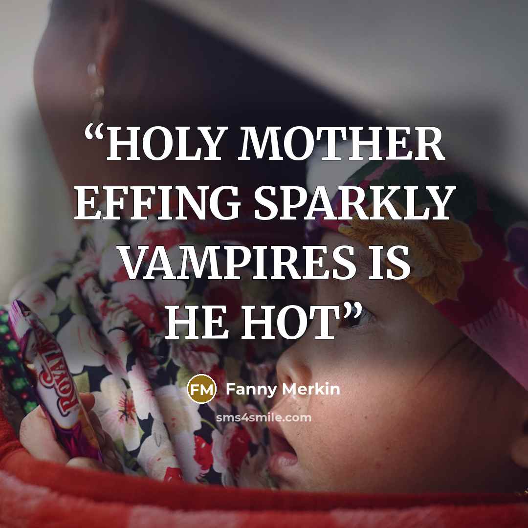 “HOLY MOTHER EFFING SPARKLY VAMPIRES IS HE HOT” quote by Fanny Merkin