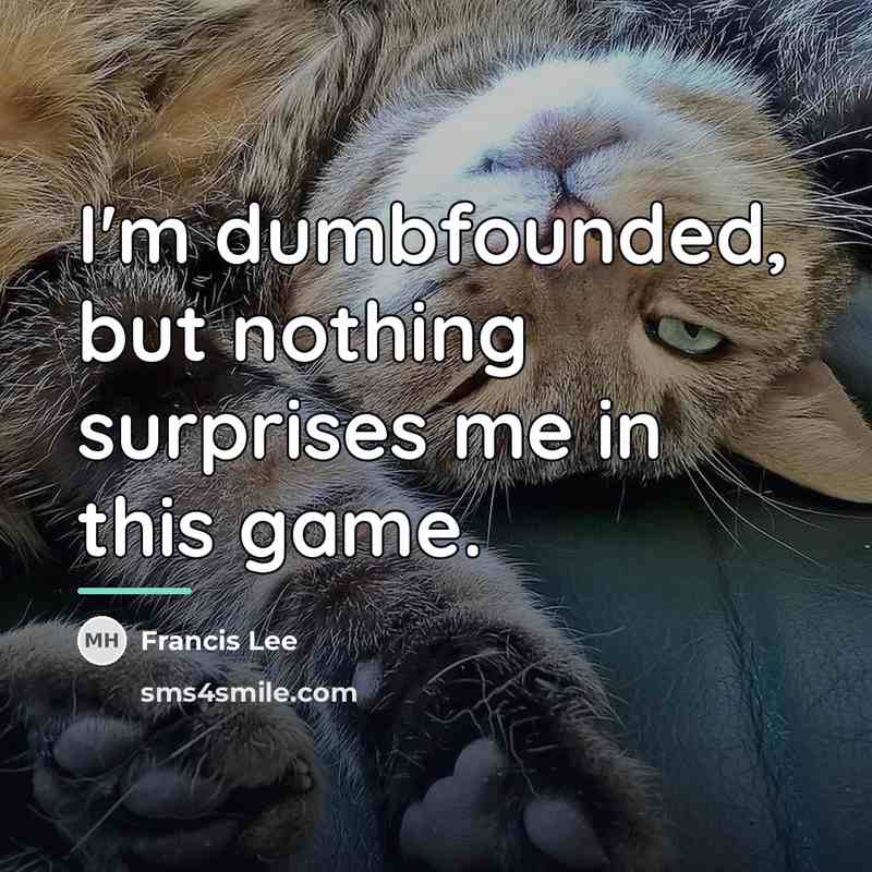“I'm dumbfounded, but nothing surprises me in this game.…” quote by Francis Lee
