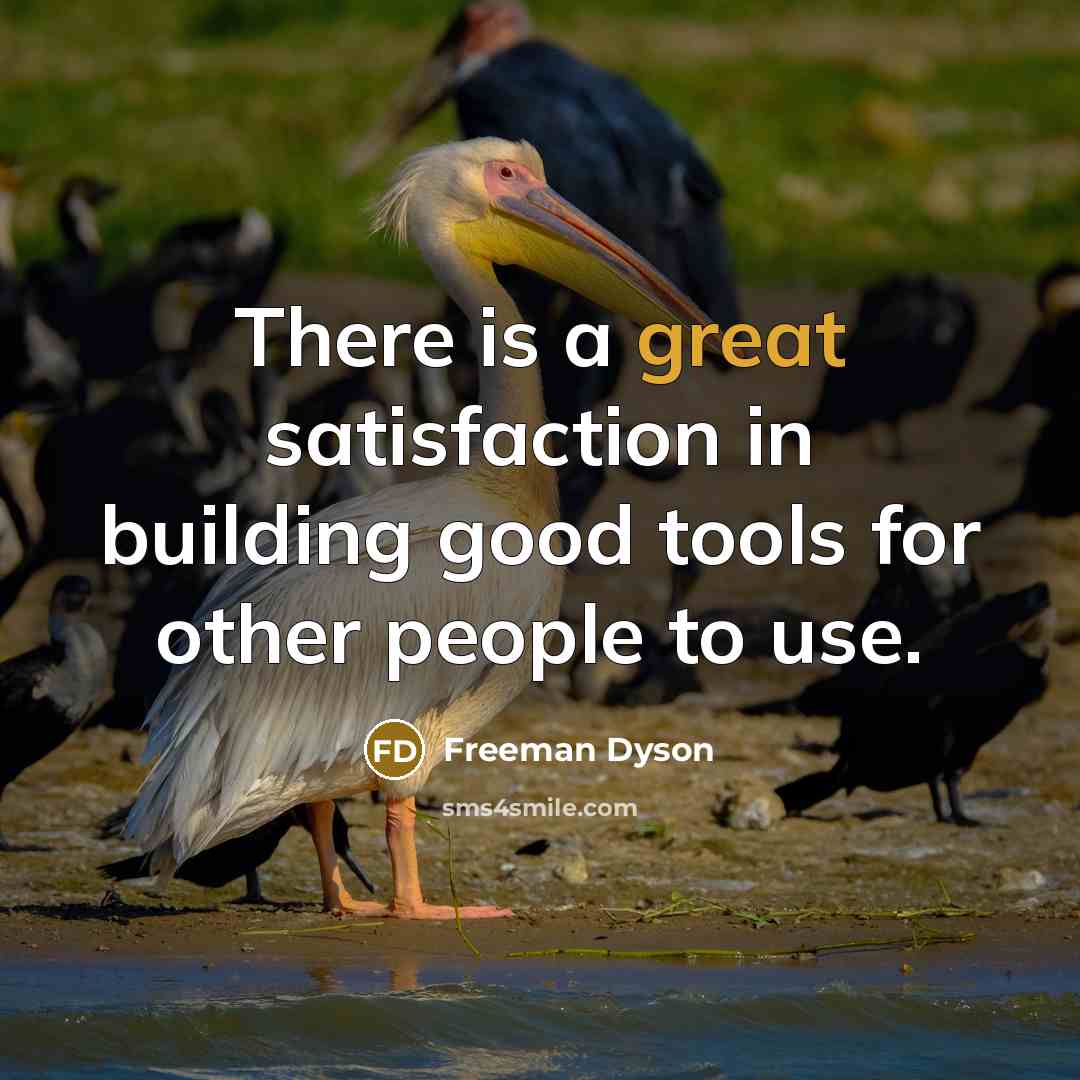“There is a great satisfaction in building good tools for…” quote by Freeman Dyson