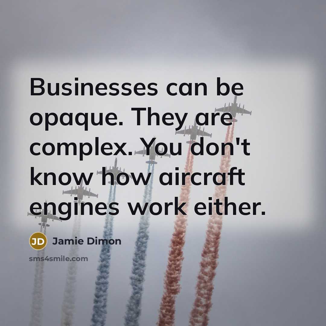 “Businesses can be opaque. They are complex. You don't know…” quote by Jamie Dimon
