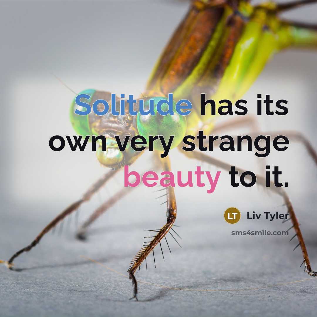 “Solitude has its own very strange beauty to it.…” quote by Liv Tyler