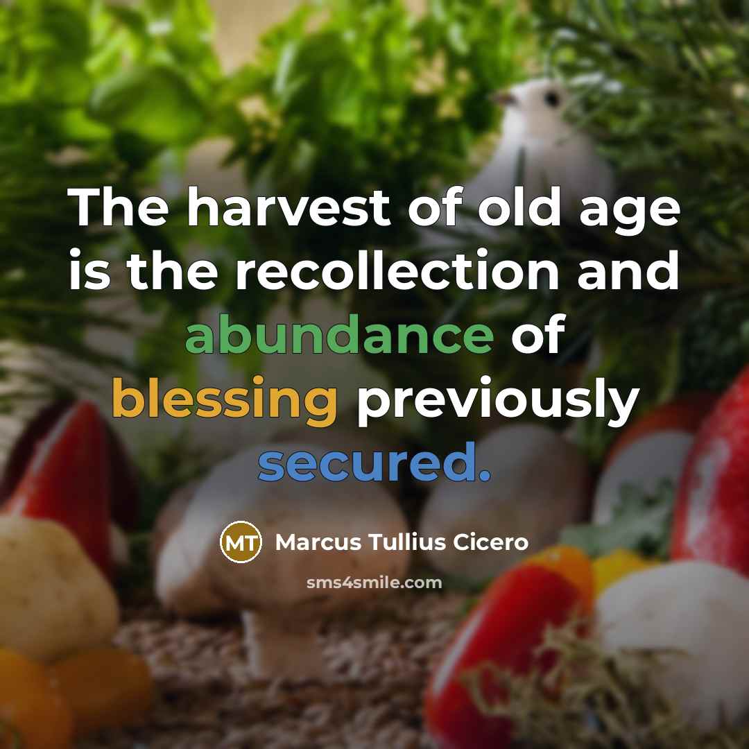“The harvest of old age is the recollection and abundance…” quote by Marcus Tullius Cicero